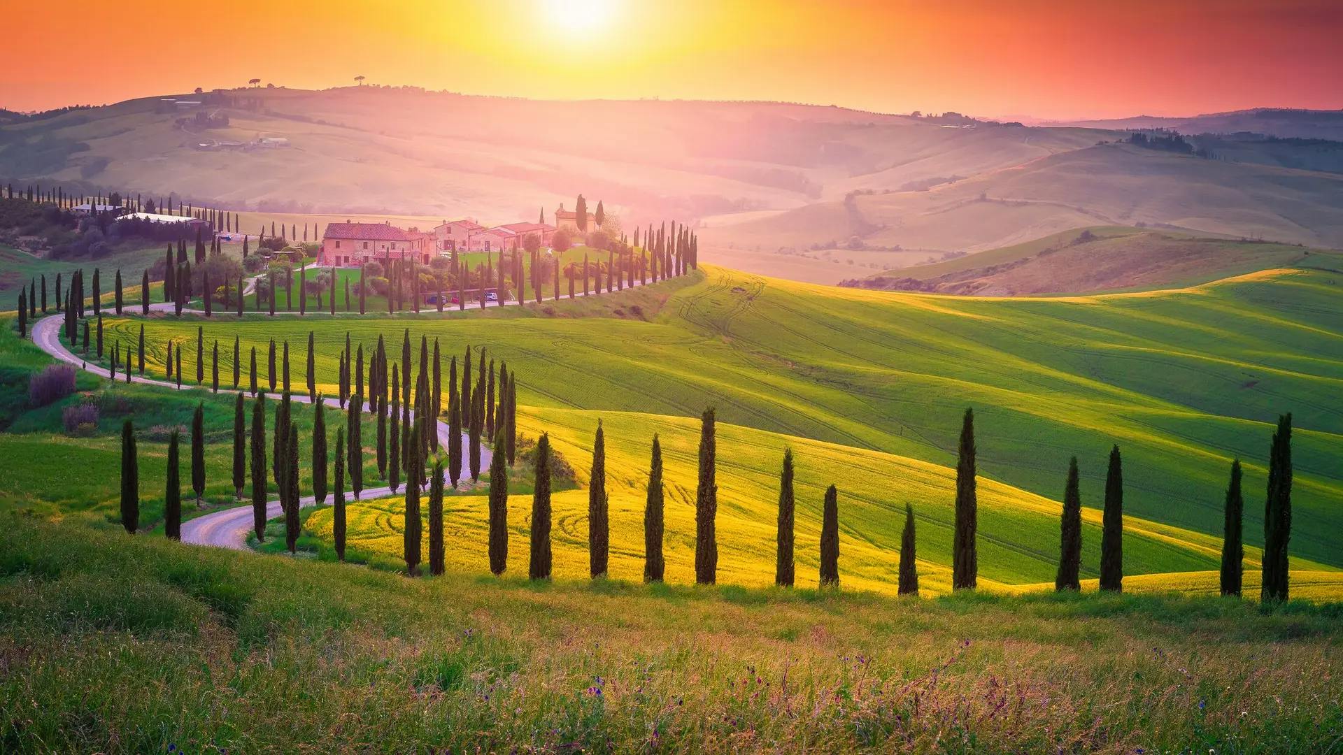 Tuscany Phần 1: Vùng Đất Rượu Vang Lịch Sử và Đầy Sáng Tạo