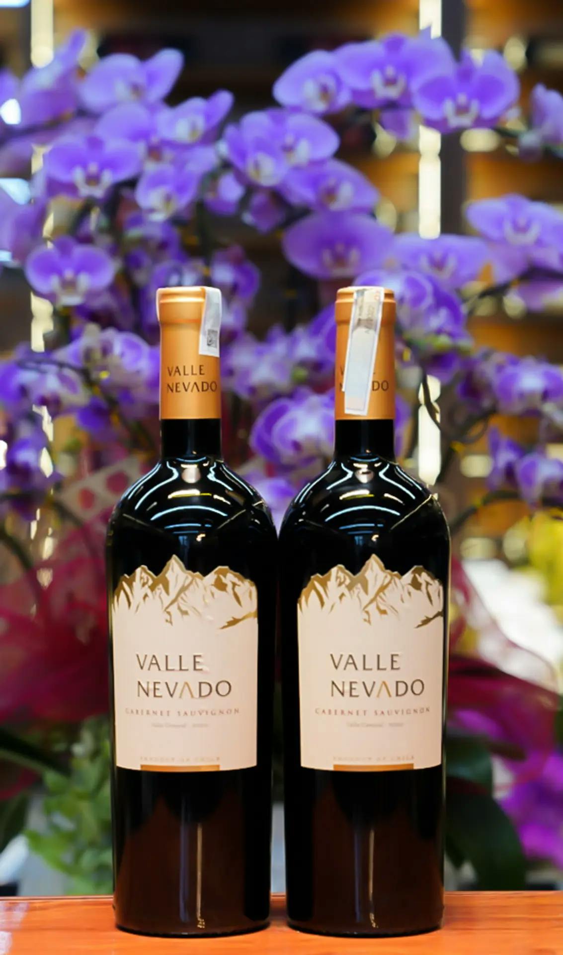 Valle Nevado Cabernet Sauvignon