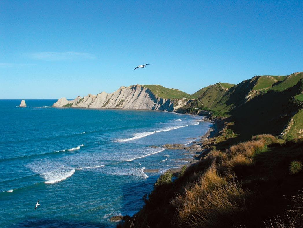 Hawke's Bay Phần 1: Nơi Thời Gian Như ngừng Lại Để Thưởng Thức Rượu Vang