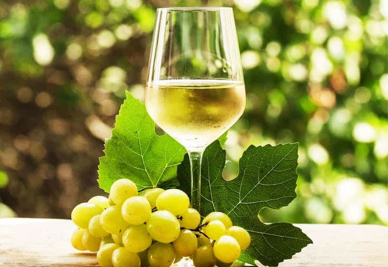 Riesling Phần 1: Hương Thơm Mạnh Mẽ và Hương Vị Tinh Tế