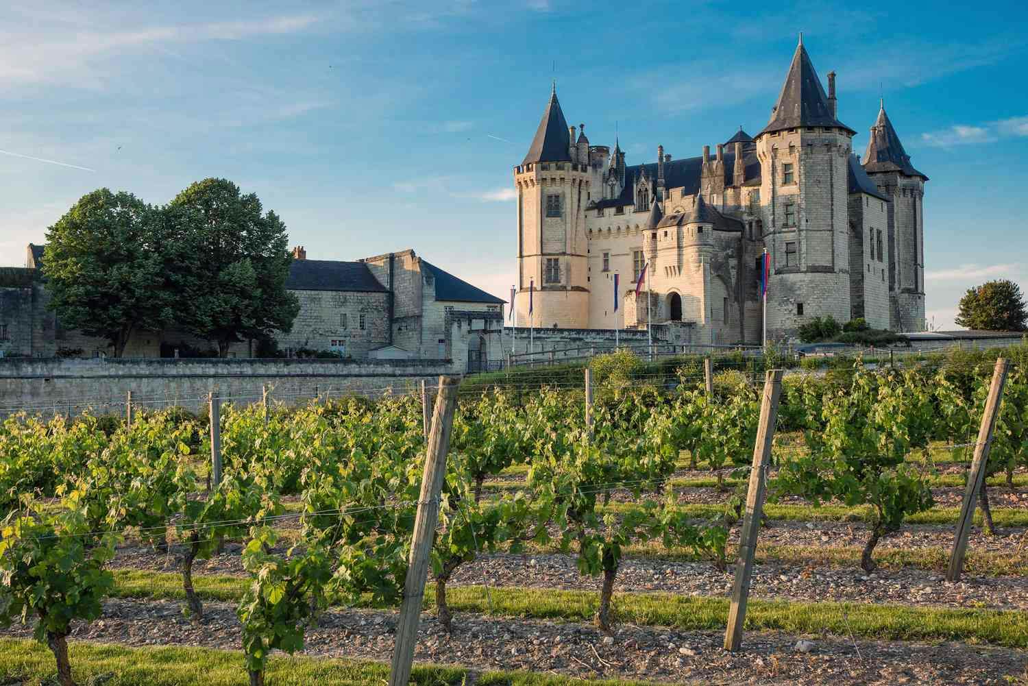 Loire Valley Phần 2: Thiên đường rượu vang của Pháp