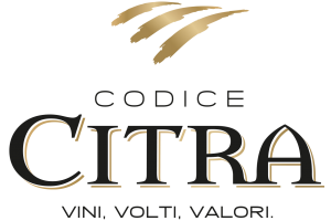 Citra: Nhà sản xuất rượu vang lớn nhất vùng Abruzzo