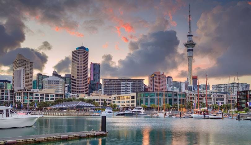 Auckland Phần 2: Viên Ngọc Rượu Vang Của New Zealand