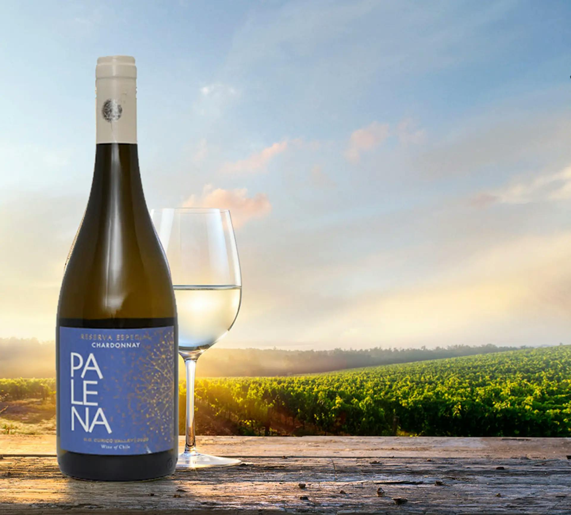 Palena Reserva Chardonnay