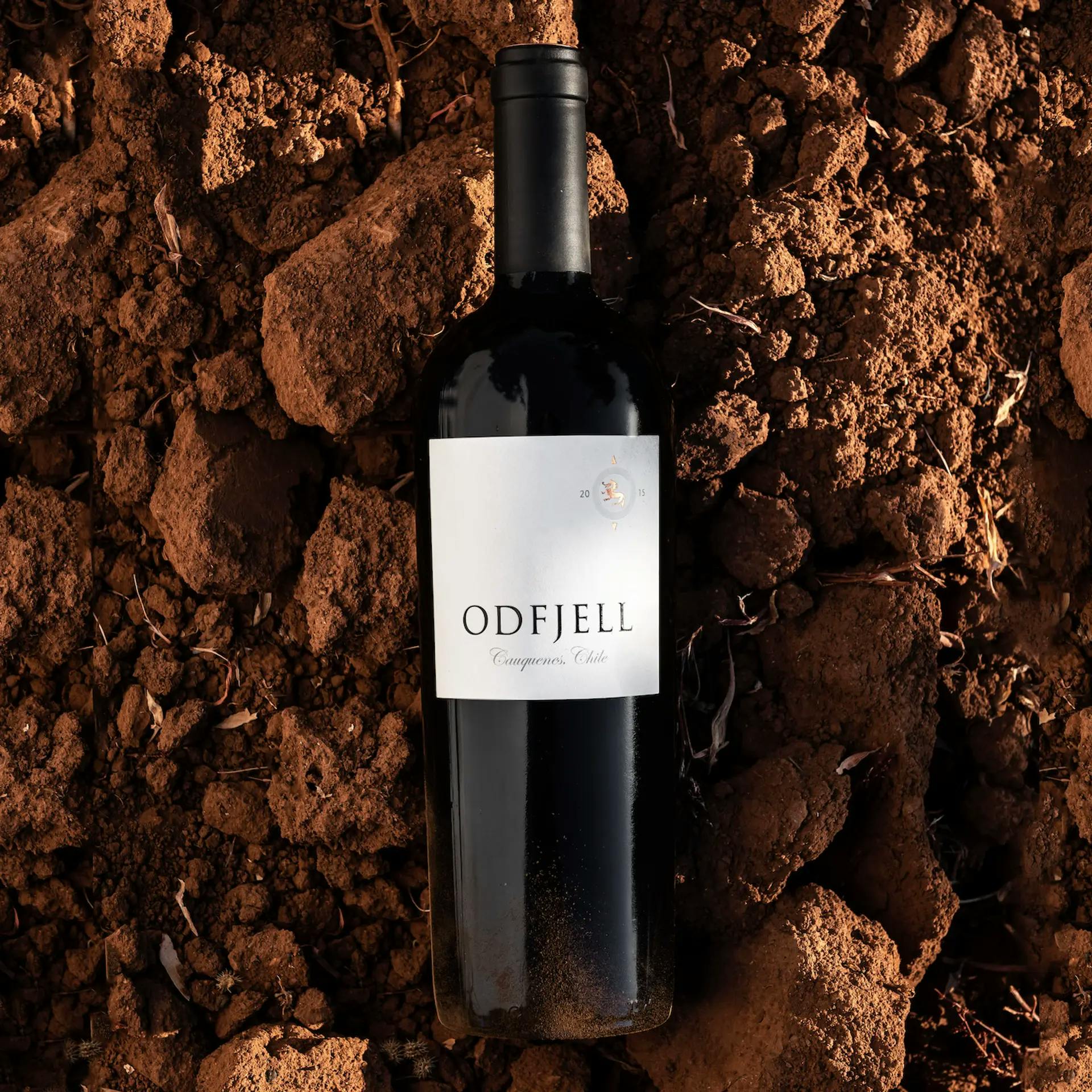 Odfjell Cabernet Sauvignon